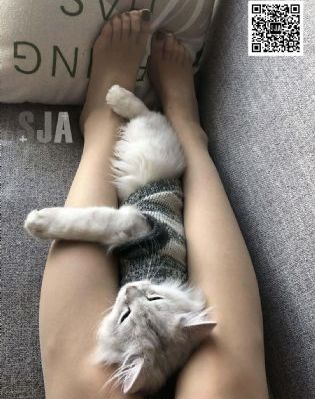 姐姐的朋友hd_HD免费播放